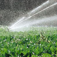 Happy Snellville, GA lawn care clients