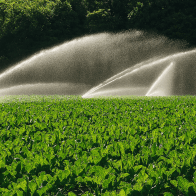 Lawn care satisfaction guarantee in Snellville, GA